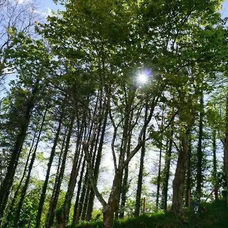 בית נופש Rarooey House Donegal Town