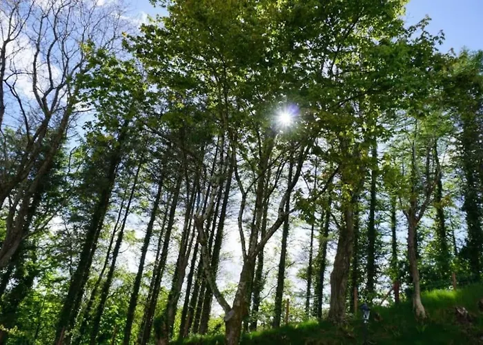 Feriehus Rarooey House Donegal Town